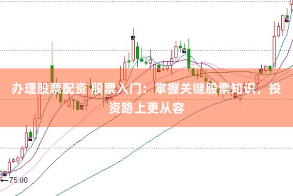 办理股票配资 股票入门：掌握关键股票知识，投资路上更从容