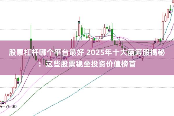 股票杠杆哪个平台最好 2025年十大蓝筹股揭秘：这些股票稳坐投资价值榜首