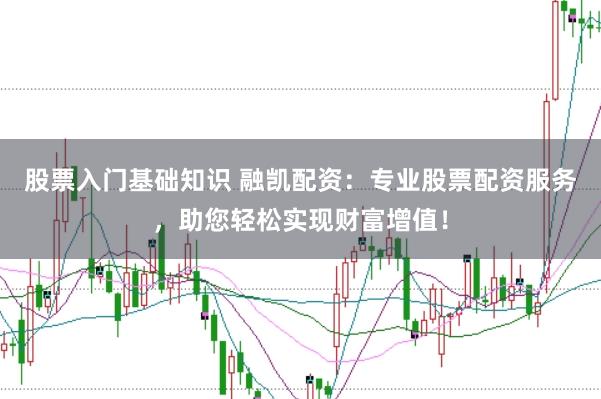 股票入门基础知识 融凯配资：专业股票配资服务，助您轻松实现财富增值！