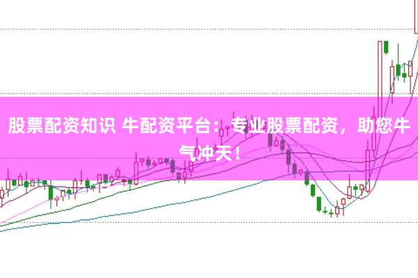 股票配资知识 牛配资平台：专业股票配资，助您牛气冲天！