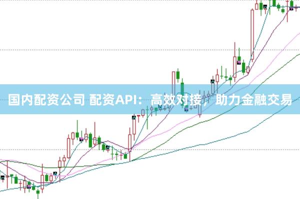 国内配资公司 配资API：高效对接，助力金融交易