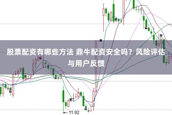 股票配资有哪些方法 鼎牛配资安全吗？风险评估与用户反馈