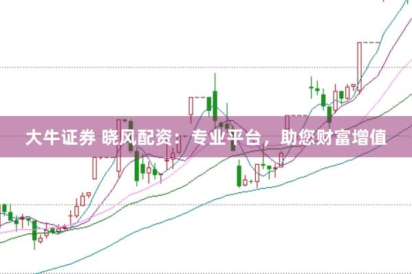 大牛证券 晓风配资：专业平台，助您财富增值