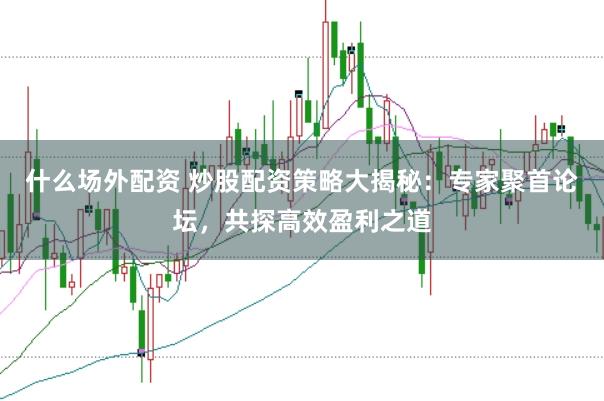 什么场外配资 炒股配资策略大揭秘：专家聚首论坛，共探高效盈利之道