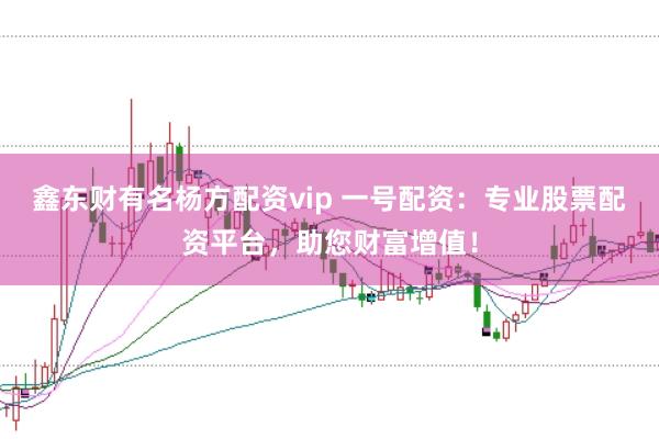 鑫东财有名杨方配资vip 一号配资：专业股票配资平台，助您财富增值！