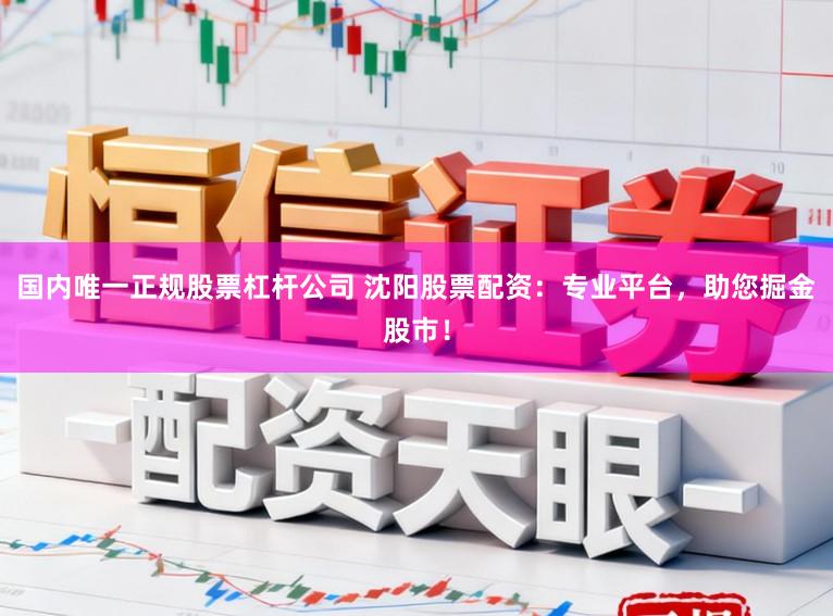国内唯一正规股票杠杆公司 沈阳股票配资：专业平台，助您掘金股市！