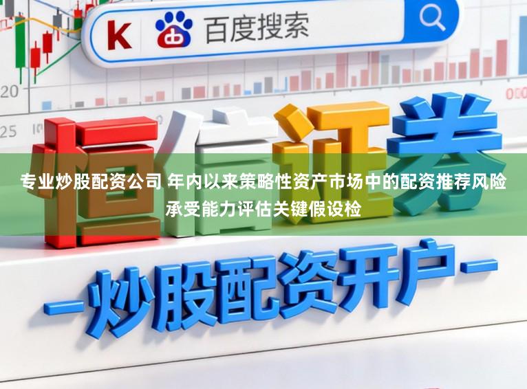 专业炒股配资公司 年内以来策略性资产市场中的配资推荐风险承受能力评估关键假设检